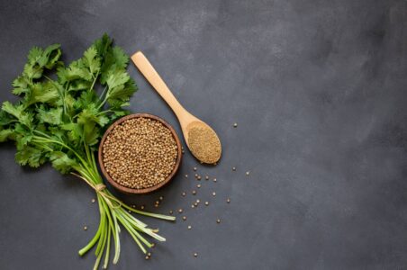 How to Grow Cilantro From Seed & Harvest Coriander Image